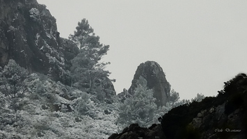Neige sur le Mont Caume 25 mars 2020