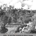 1906-incendie-du-Mont-Caume.jpg