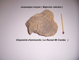 Empreinte d'ammonite Le Revest Mont Combe