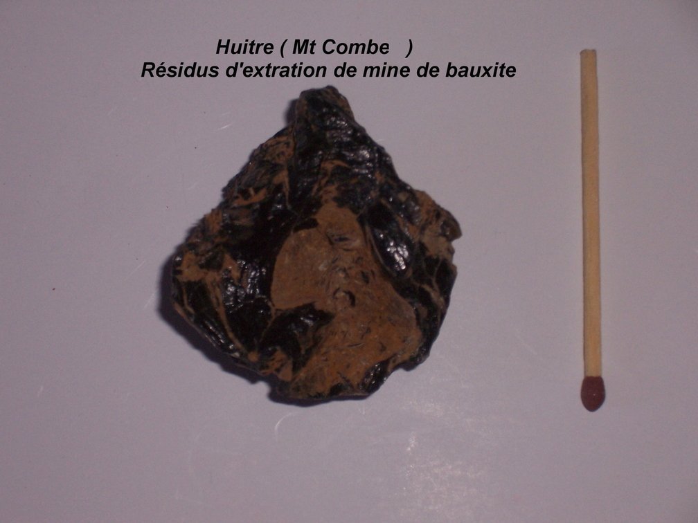 huitre-Revest-Mt-Combe.jpg