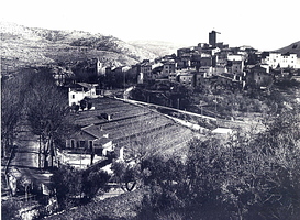 Village et Platanes depuis Costebelle