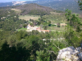 Le Domaine de Tourris, ses vignes, ses oliviers