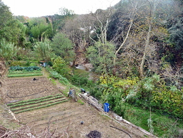 Les jardins entre béal et Dardennes