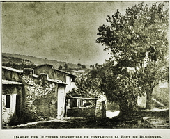 Le hameau des Olivières