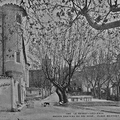 ancien-chateau-roi-rene-1928-2.jpg