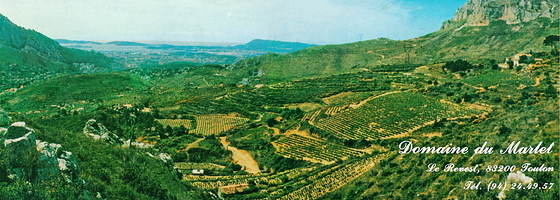 Domaine viticole du Marlet vers 1970