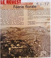 Féerie florale 9 4 1978