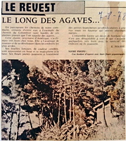 Le long des agaves 7 8 1978