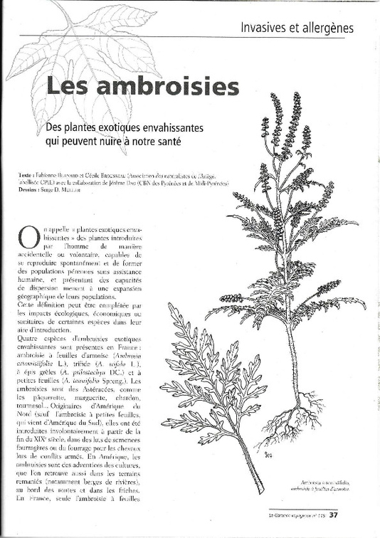 Ambroisies_Garance-voyageuse119_Sept2017.pdf