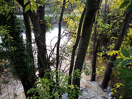 24 novembre, 12h30, les arbres dans l'eau de la Dardennes 