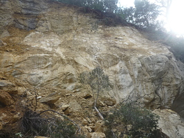 Carriere-de-sable-des-laurons-2011-03-22-gres-en-decomposition