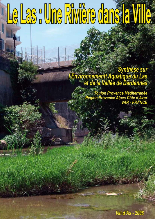 le-las-une-riviere-dans-la-viller.pdf