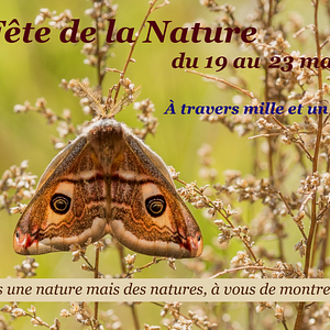 Fête de la Nature 2021 - Album collectif -