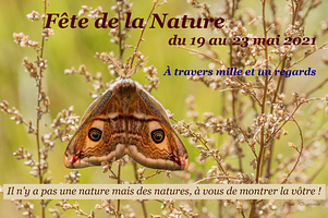 Fête de la Nature 2021 - album collectif -
