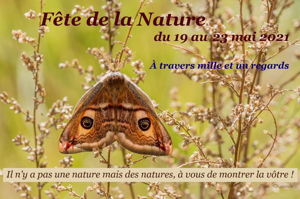 Appel-Fete-de-la-Nature-2021-2.png