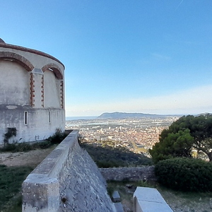 Les forts du Faron