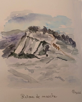 coudon 5