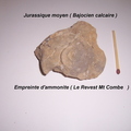 ammonite-empreinte-Revest-Mt-Combe.JPG