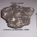 calcaire-coquiller-Revest-Baumettes.jpg
