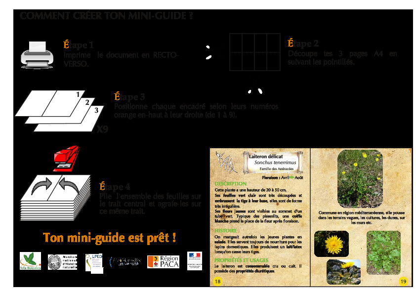 Mini-guide-PACA-light.pdf